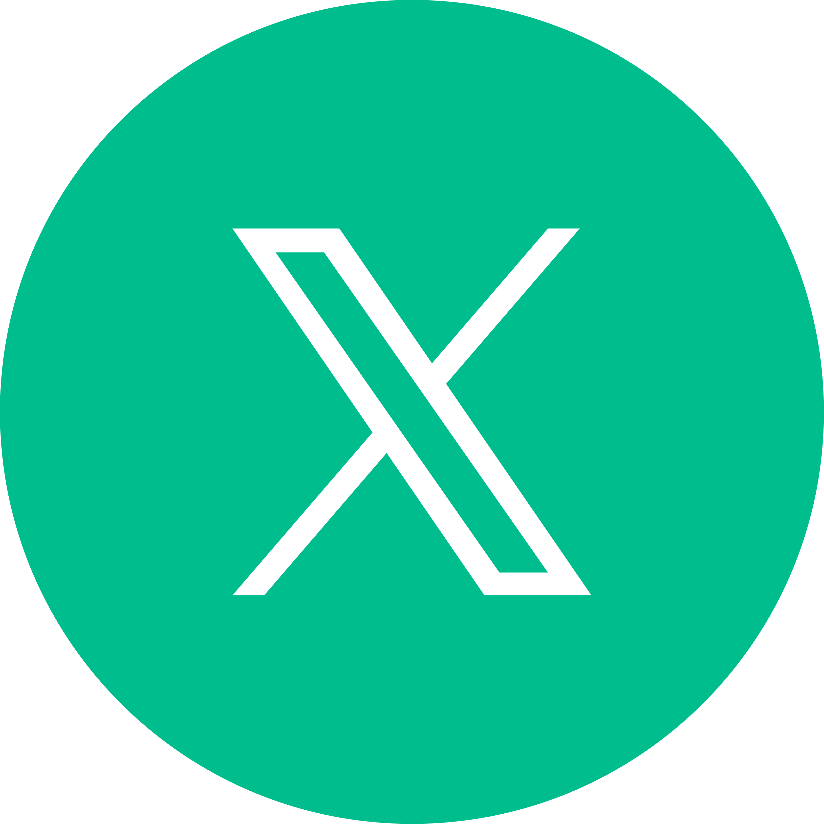 X.png